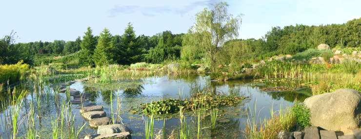Letnia panorama na oczko wodne Ogrodu Botanicznego w Powsinie.
fot.A.Pramowski